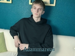adammarsus Visio x