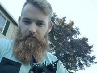 Beardedginger