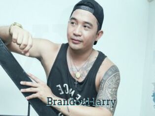 BrandonHarry