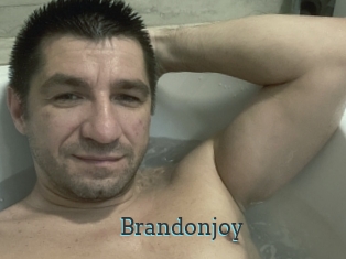 brandonjoy Visio x