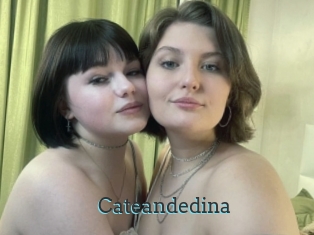 Cateandedina