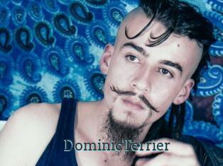 DominicTerrier Visio x