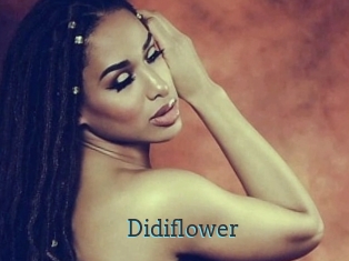 Didiflower