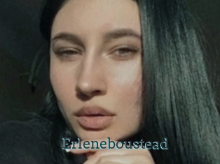 erleneboustead Visio x