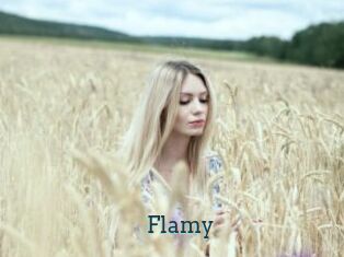 Flamy Visio x