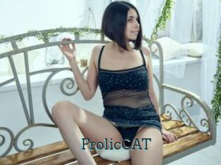 FrolicCAT