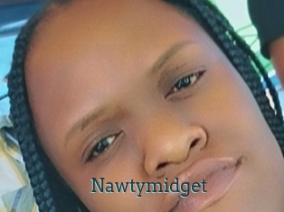 nawtymidget Visio x