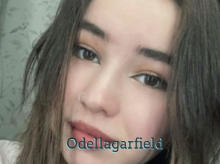 Odellagarfield