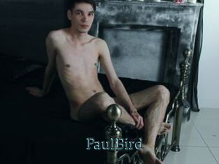 PaulBird