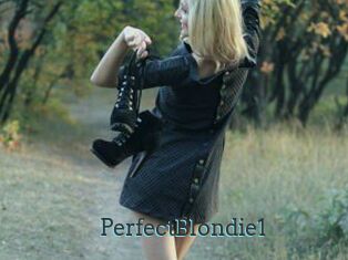 PerfectBlondie1