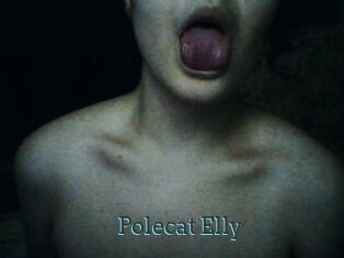 Polecat_Elly