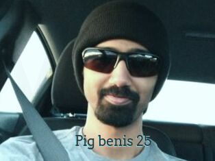 Pig_benis_25