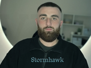 stormhawk Visio x