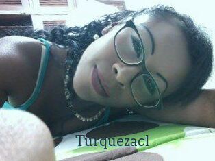 turquezacl Visio x