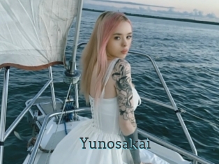 Yunosakai