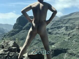 Zebrito